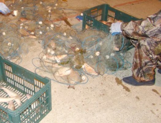 Peşte, plase de pescuit şi ambarcaţiuni, confiscate de poliţişti